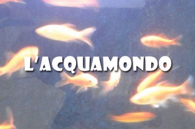 L'Acquamondo